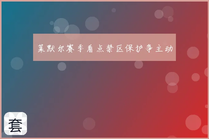 莱默尔赛季看点禁区保护争主动